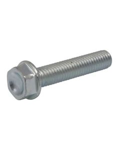 Akrapovic-Bolzen-BOLT-e1df94a7408e5ce84a2ed066484bb1fe