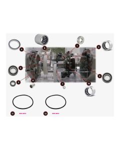 Black-Bearing-Lager-&-dd1c9cb1192ce5a8e8d10c096a5d94e2