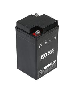BS-BATTERY-SLA-aktivierte-6e85855f55848f7122028dd48b7fabb4