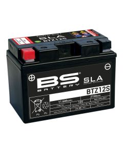BS BATTERY-SLA-aktivierte-wartungsfreie-AGM-Batterien-300637-1