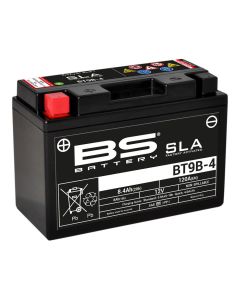BS BATTERY-SLA-aktivierte-wartungsfreie-AGM-Batterien-300642