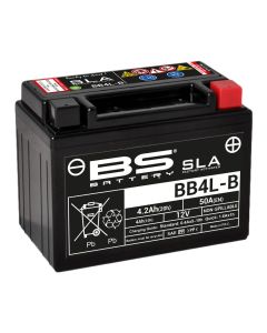 BS BATTERY-SLA-aktivierte-wartungsfreie-AGM-Batterien-300665