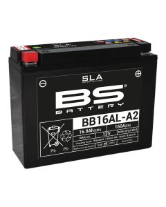 BS BATTERY-SLA-aktivierte-wartungsfreie-AGM-Batterien-300839