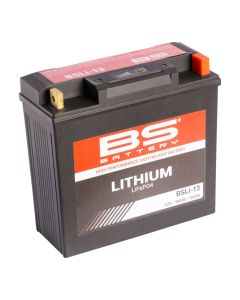 BS BATTERY-Lithium-LiFePO4-Batterie-360113