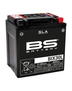 BS BATTERY-SLA-aktivierte-wartungsfreie-AGM-Batterien-300631
