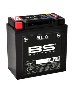BS BATTERY-SLA-aktivierte-wartungsfreie-AGM-Batterien-300675