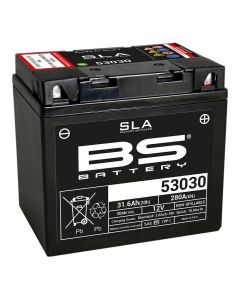 BS BATTERY-SLA-aktivierte-wartungsfreie-AGM-Batterien-300880
