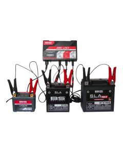 BS BATTERY-SMART-Bank-Batterielade--und-Wartungsgeraet-Rekonditionierung-700547