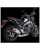 Akrapovic Racing-Line Komplette Auspuffanlage, Straße EXHAUST RAC SS/TI MT-09
