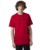 Fox T-Shirt Absolute Premium rot S rot