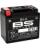 BS BATTERY SLA aktivierte wartungsfreie AGM-Batterien BTX12