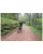 AVS Racing MTB Handprotektoren ALU MOUNT BK BL