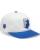 Fox Snapback Cap Shadow weiss weiss