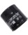 HIFLO OIL FILTER HD XG500 750 - HF175
