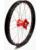 Kite Elite MX-EN Rad, silberne Speichen WHEEL 21X1.60 RD