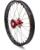 Kite Elite MX-EN Rad, silberne Speichen WHEEL 16X1.85 RD