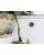 Quad Lock Adhesive Wall Mount (Twin Pack) V2 Halterung