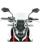 WRS Windschild / Windschutz WSCRN SPORT HORNET 750 CLEAR
