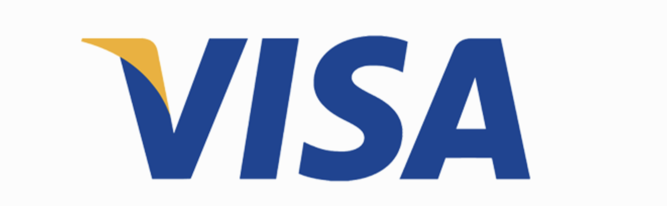 Visa logo payment